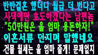 반반결혼 했더니 월급 더 번다고 시댁에만 효도하겠다는 남편놈 50만원은 울 엄마 용돈하자! 이혼서류 던지며 말했네요 건물 월세는 울 엄마 줄게! 문제없지