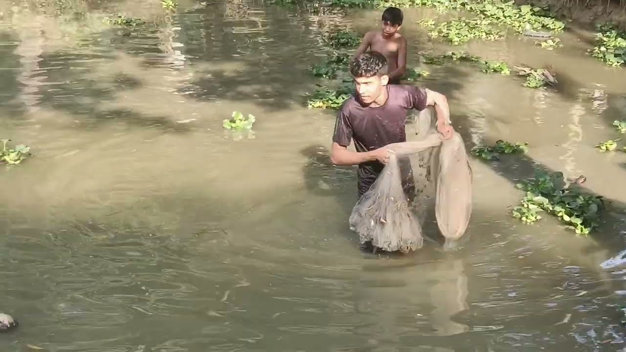 Most Popular Cast Net Fishing in Village Pond - Net Fishing With Beautiful Natural (Part-03)