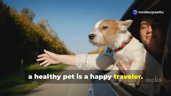 Perfect Road Trip Prep for Your Dog or Cat 🐾 | Tips for Stress-Free Pet Travel 🐶🐱