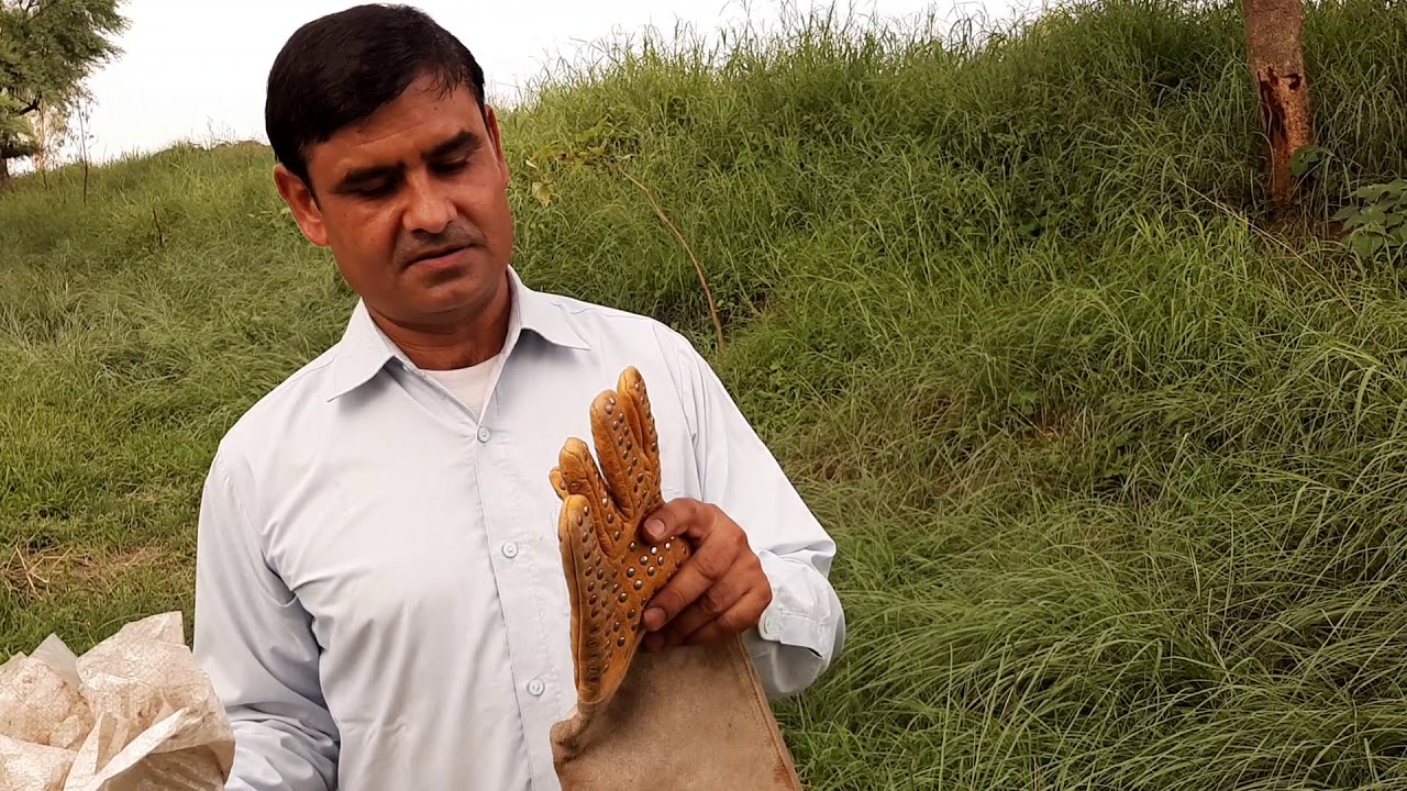 snake rescue team Snakeman haryana 9255130130