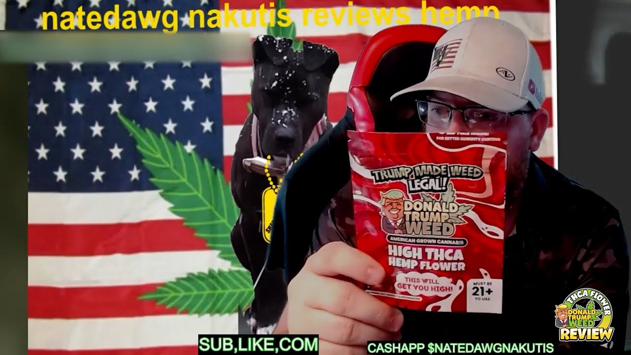 Donald Trump Weed Review - Gush Mintz THCa Flower by @natedawg-nakutis-reviews-hemp