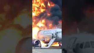 World's Most Expensive Slide?😱#facts #shorts