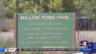 Child in critical condition after near-drowning in Willow Pond