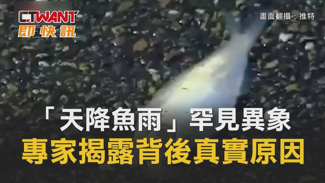 Ctwant 周刊王即時新聞 天降魚雨 罕見異象專家揭露背後真實原因 Youtube