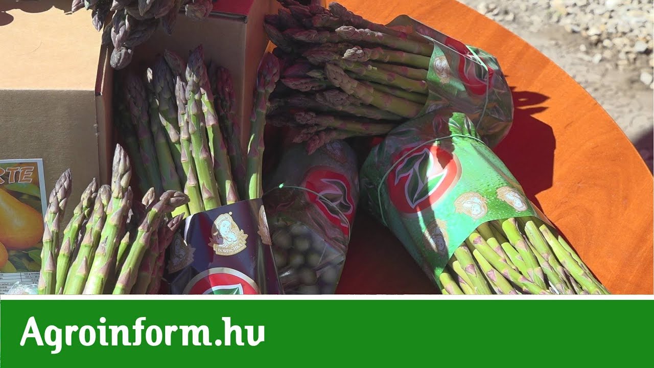 Ne féljünk a spárgától! Termelésre és fogyasztásra fel!