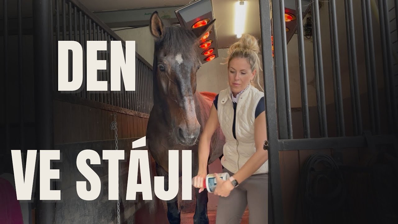 🐴 DEN VE STÁJI | U KONÍ 🐴 | vlog | Barbora Frey