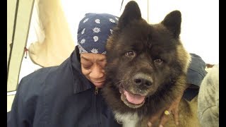 Belly Rubs For Yoshi