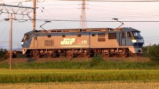 2015/09/23 JR貨物 5074レ 代走EF210-125[新]号機＋コキ22B 東海道本線