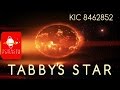 Tabby's Star