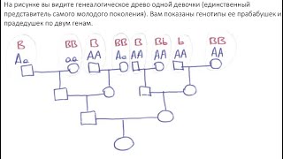 картинка: Разбор заданий отборочной олимпиады по биологии