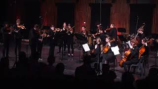 Chamber Strings, Conductor Tim Veldman, Waltz from the Nutcracker Suite – Tchaikovsky arr  Alshin