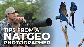 Expert Bird Photography Tips from National Geographic's Keith Ladzinski | Studio Sessions Episode 8