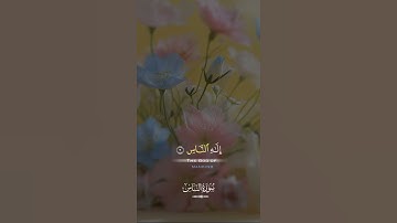 قُلۡ أَعُوذُ بِرَبِّ ٱلنَّاسِ - سورة الناس #قرآن #حالات_واتس  #ياسر_الدوسري #هزاع_البلوشي