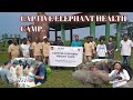 CAPTIVE ELEPHANT HEALTH CAMP MANAS NATIONAL PARK..