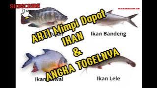 arti, kode alam mimpi tentang ikan dan angka jitu togelnya