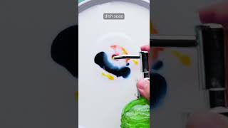 Make colors swirl with this fun science experiment