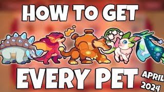 Prodigy Math Game | How to Obtain EVERY Pet in Prodigy! (April 2024) screenshot 5