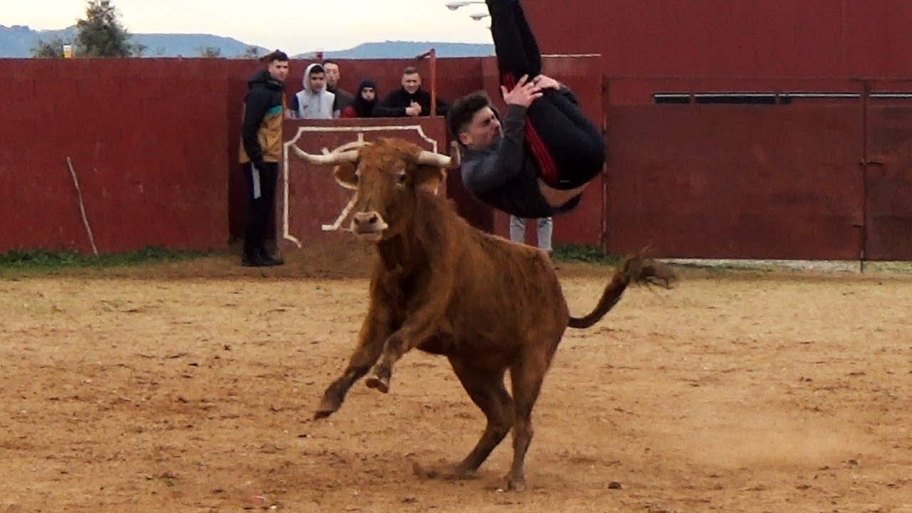 III CAPEA ALCARREÑA con UN NOVILLO y DOS VACAS // FINCA LÓPEZ BAYO 2023