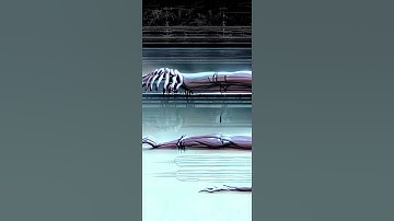 Ai videos, Ai animation videos stable diffusion#Ai#satblediffusion#video