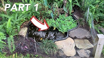 Part 1- cleaning and remodeling the turtle pond enclosure!