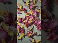 たぶん、愛 / なきごと #なきごと #邦ロック #歌詞動画