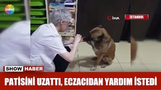 Patisini uzattı, eczacıdan yardım istedi Resimi