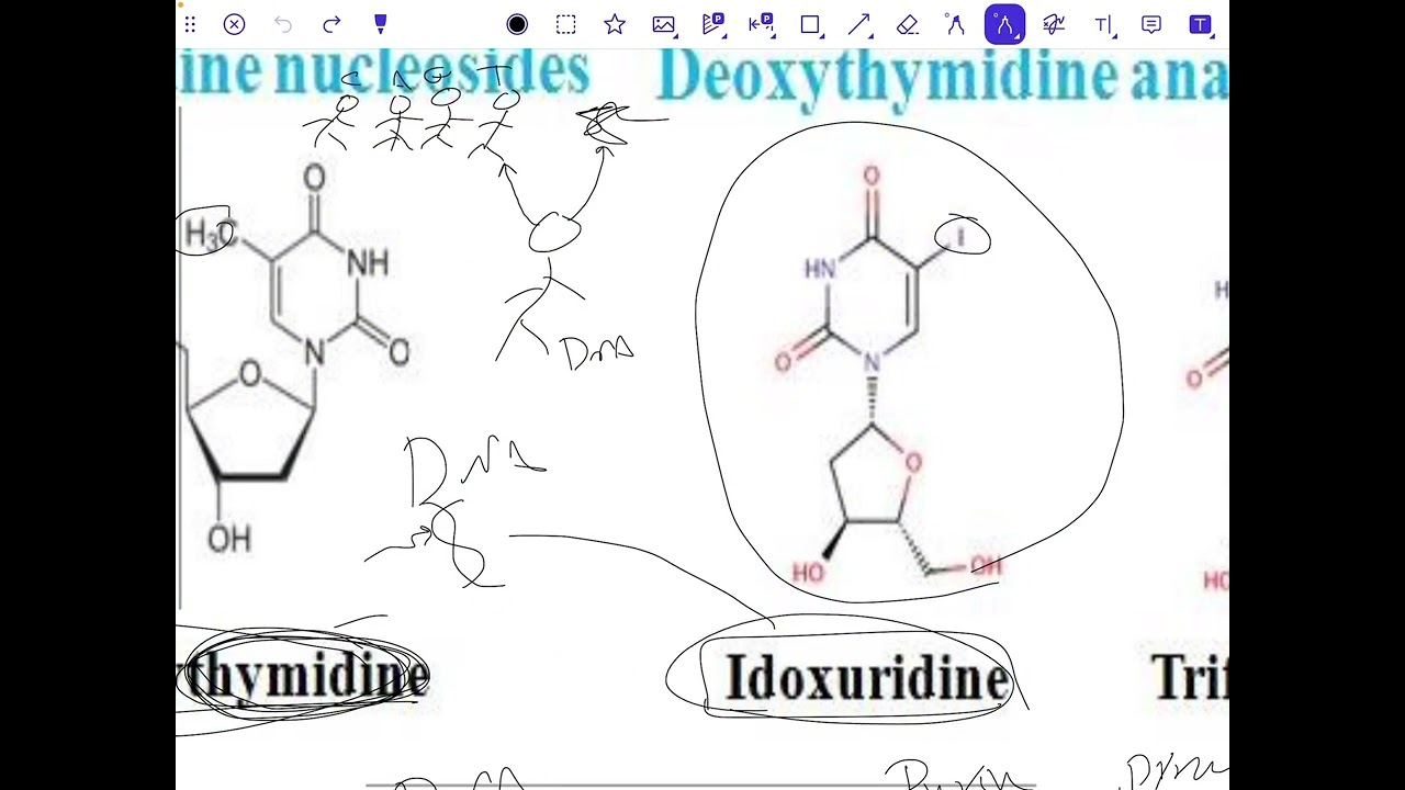 Pharmaceutical chemistry(Vidarabine antivirals)عضوية وزاري مرحلة رابعة صيدلة 