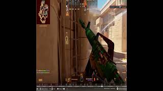 CS2 Anubis big carry 33