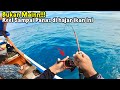 URAA ...!!! Ternyata Ini Dia Yang Sering Mutusin Tali Para Pemancing Di Sini .. Ukurannya WOW !!!