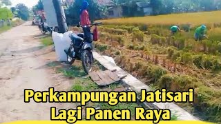 Perjalanan Keliling Kampung Di Kecamatan Jatisari Karawang || Jatisari Lagi Panen Raya