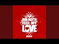 Feel my love radio edit