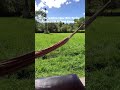 Hoje Acordei Nessa Vibe..Vontade ir para a Fazenda…#fazenda #vidanaroca #interior