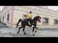 فرسان المحاميد الجواد بركان