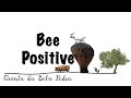 Bela Pedra, my Portuguese Farm: Part 43 (Bee Positive)