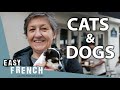 Do the french like pets  easy french 165