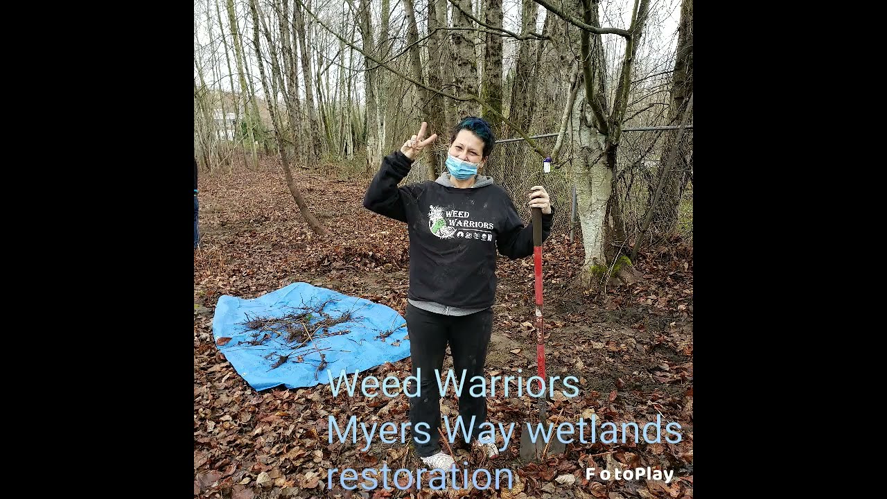 Weed Warriors at the Myers Way Wetland Restoration project Feb 2021