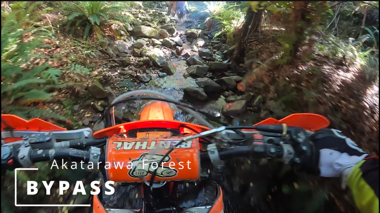 Akatarawa Forest - Devils Staircase Bypass