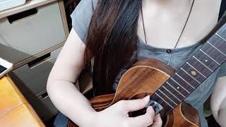 房東的貓〈蝴蝶之夏〉|盧家宏