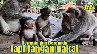 Little monkey Don't be naughty! Mama can be angry! #tuAbangChannel