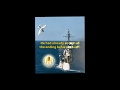 WW2 Kamikaze Planes-Historacle #usa #airplane #pilot #war#historyfacts #history #army #wwis #latewar
