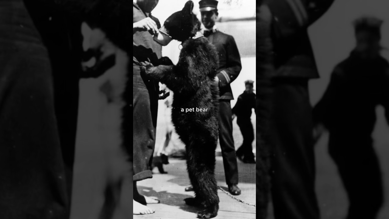 Theodore Roosevelt turned the White House into a zoo 