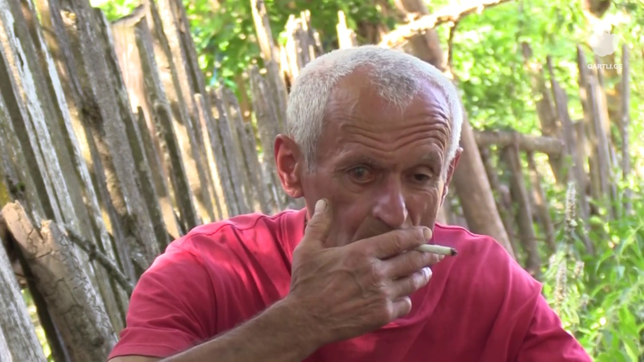 ტყემლოვანა  -  კონკორდატის სახელით გადანაწილებული სოფელი