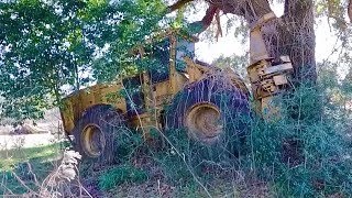 Logging equipment hiding in the bushes!  Will it ever run again?