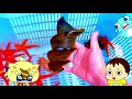 【海の生き物アニメ】海ほおずきでネコザメや伊勢エビを観察したよ！
