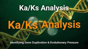 Ka/Ks Analysis Practical Guide | Identifying Gene Duplication & Evolutionary Pressure