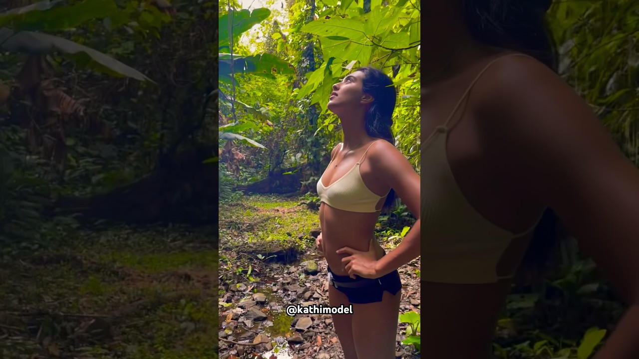 Jungle Life