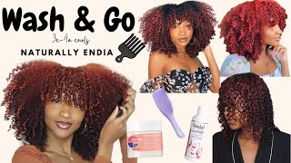 Wash &amp; Go + Tips| Naturally Endia