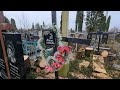 У Житомирі на Крошенському кладовищі залишили зрізані дерева біля могил та пам’ятників