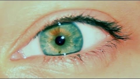 The Invisible Colours of the Universe: Gravitational Waves - Fast Forward Science 2013