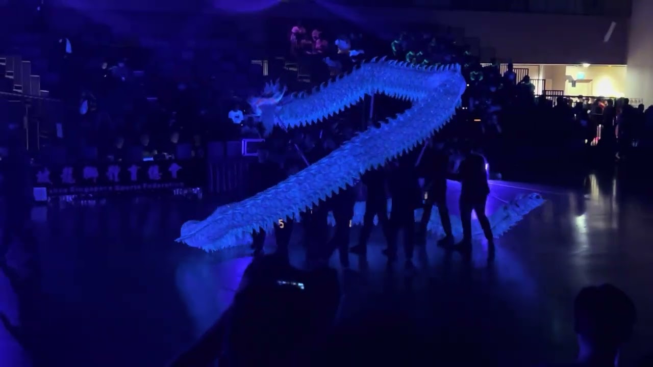 Luminous dragon competition -Malaysia 🇲🇾 and Singapore 🇸🇬 ￼